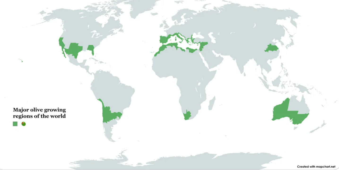 Screenshot 2025-07-16 at 6.04.15 PM.png