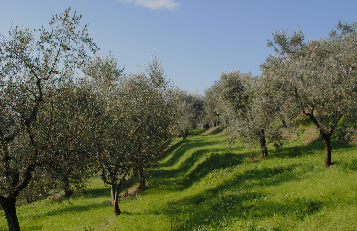 Screenshot 2025-07-16 at 6.10.32 PM.png